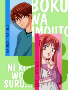 Boku wa Imouto ni Koi wo Suru (I’m in Love With My Little Sister)(2004)