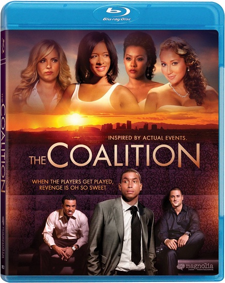 The Coalition (2013) BluRay 720p HD