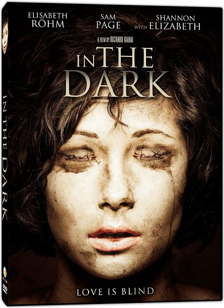 In the Dark (2013) DVDRip