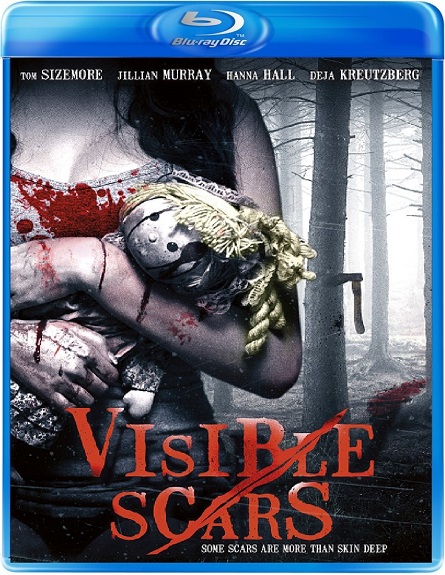 Visible Scars (2012) BluRay 720p HD