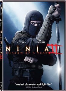 Ninja: Shadow of a Tear (2013)