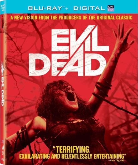 Posesión infernal (2013) BluRay 720p HD Audio Dual Latino / Inglés