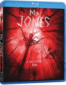 Mr. Jones (2013) BluRay 720p HD