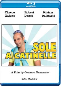 Sole a catinelle (2013) BluRay 720p HD