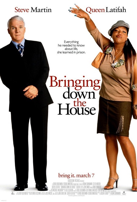 Bringing Down the House (2003) DVDRIP