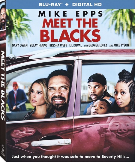 Meet the Blacks (2016) BluRay