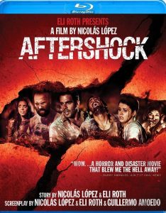 Aftershock (2012) BluRay 720p HD
