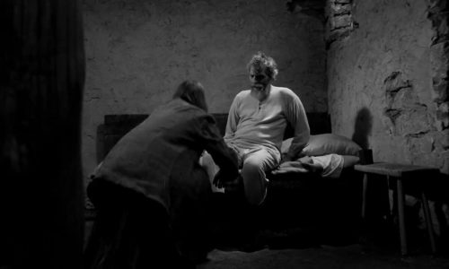 the-turin-horse-unsoloclic-info5