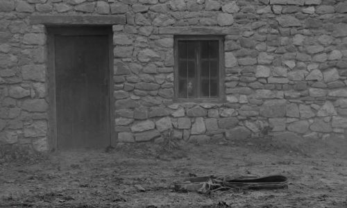 the-turin-horse-unsoloclic-info7