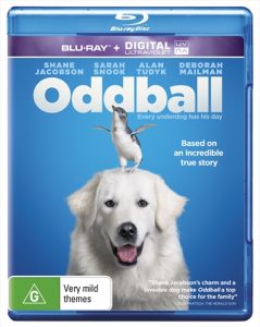 Oddball and the Penguins (2015) BluRay 1080p HD Dual Latino / Inglés