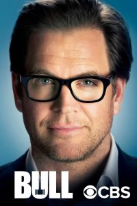 Bull (2016) Serie de TV Primera Temporada