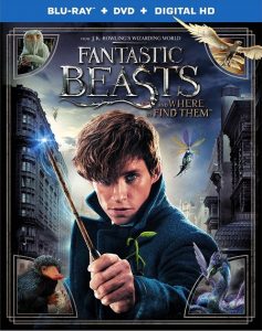 Fantastic Beasts and Where to Find Them (2016) BluRay 720p HD