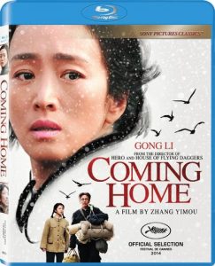 Coming Home (2014) BluRay 720p HD