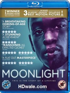Moonlight (2016) BluRay 1080p HD Dual Latino / Inglés