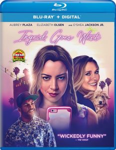 Ingrid Goes West (2017) BluRay 720p HD