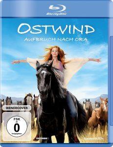 Windstorm and the Wild Horses (2017) BRRip