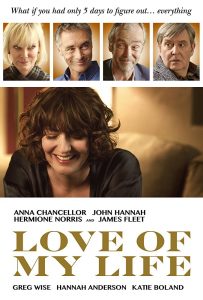 Love of My Life (2017) BluRay 720p HD