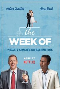 The Week Of (2018) WEBRip 720p HD