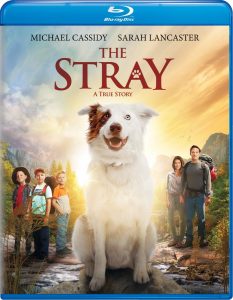 The Stray (2017) BluRay 720p HD