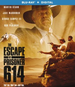 The Escape of Prisoner 614 (2018) BluRay 720p HD