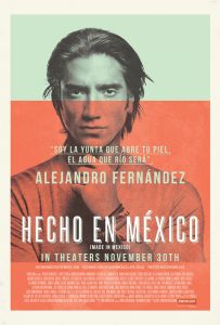 Hecho en México (2012) BluRay 1080p HD VIP