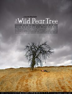 The Wild Pear Tree (2018) BluRay 720p HD