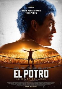 El Potro: Lo mejor del amor (2018) BluRay 720p HD