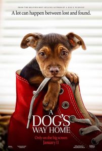 A Dog’s Way Home (2019) WEB-DL 720p HD