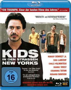 A Guide to Recognizing Your Saints (2006) BluRay 720p HD