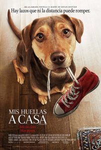 Mis huellas a casa (2019) WEB-DL 1080p HD Dual Latino / Inglés