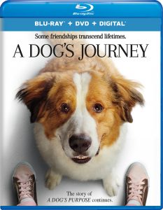A Dog’s Journey (2019) BluRay 1080p HD Dual Latino / Inglés