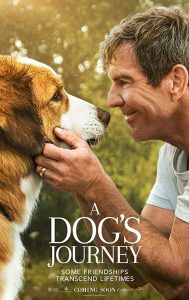 A Dog’s Journey (2019) WEB-DL 1080p HD Dual Latino / Inglés