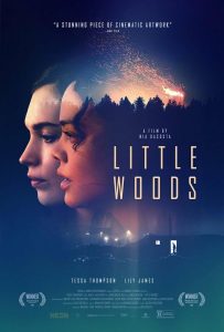 Little Woods (2018) WEB-DL 720p HD