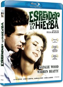 Splendor in the Grass (1961) WEB-DL 1080p HD