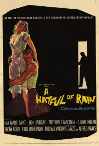 A Hatful of Rain (1957) DVDRip VIP
