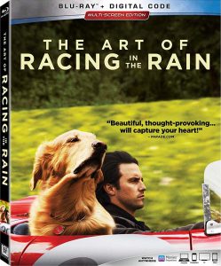The Art of Racing in the Rain (2019) BluRay 1080p HD Dual Latino / Inglés
