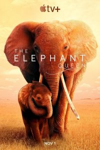The Elephant Queen (2019) WEB-DL 1080p HD