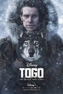 Togo (2019) WEB-DL 720p HD Dual Latino / Inglés