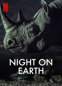 Night on Earth (2020) Serie de TV Primera Temporada 720p HD