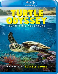Turtle Odyssey (2019) BluRay 1080p HD