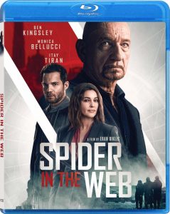 Spider in the Web (2019) BluRay 1080p HD