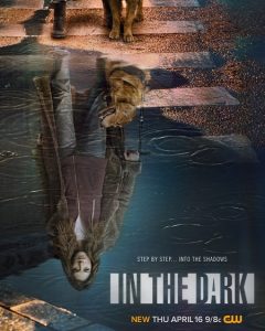 In the Dark (2019) Serie de TV Segunda Temporada (2020) 720p HD
