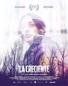 La creciente (2019) WEB-DL 720p HD