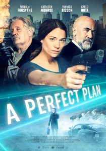 A Perfect Plan (2020) WEB-DL 1080p HD