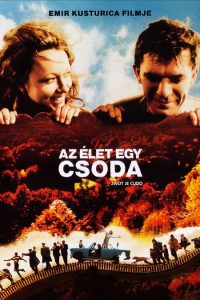 Life Is a Miracle (2004) DVDRip