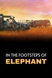 In the Footsteps of Elephant (2020) WEBRip 1080p HD