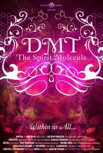 DMT: The Spirit Molecule (2010) WEBRip 1080p HD
