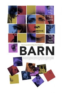 Barn (2019) BluRay 1080p HD