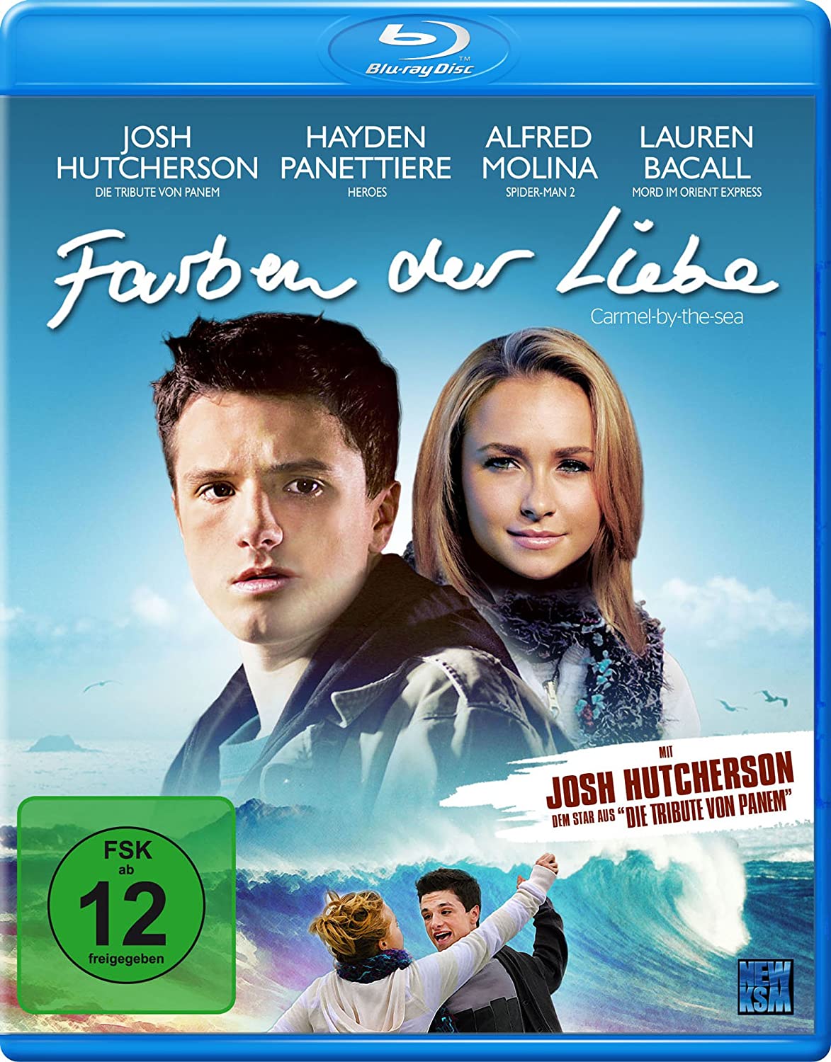 The Forger (2012) BluRay 1080p HD VIP