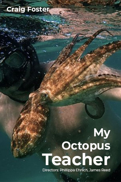 My Octopus Teacher (2020) WEB-DL 1080p HD